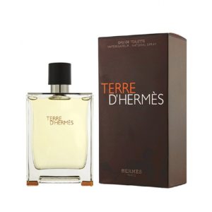 Terre D’Hermes Eau De Toilette 100ml